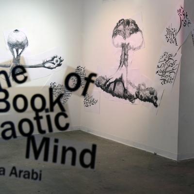Book Of A Chaotic Mind 